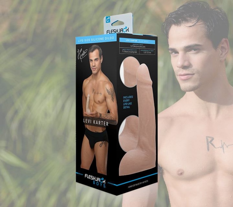 Fleshlight Levi Karter Male Pornstar Replicas | MALAYSIA BMN5184